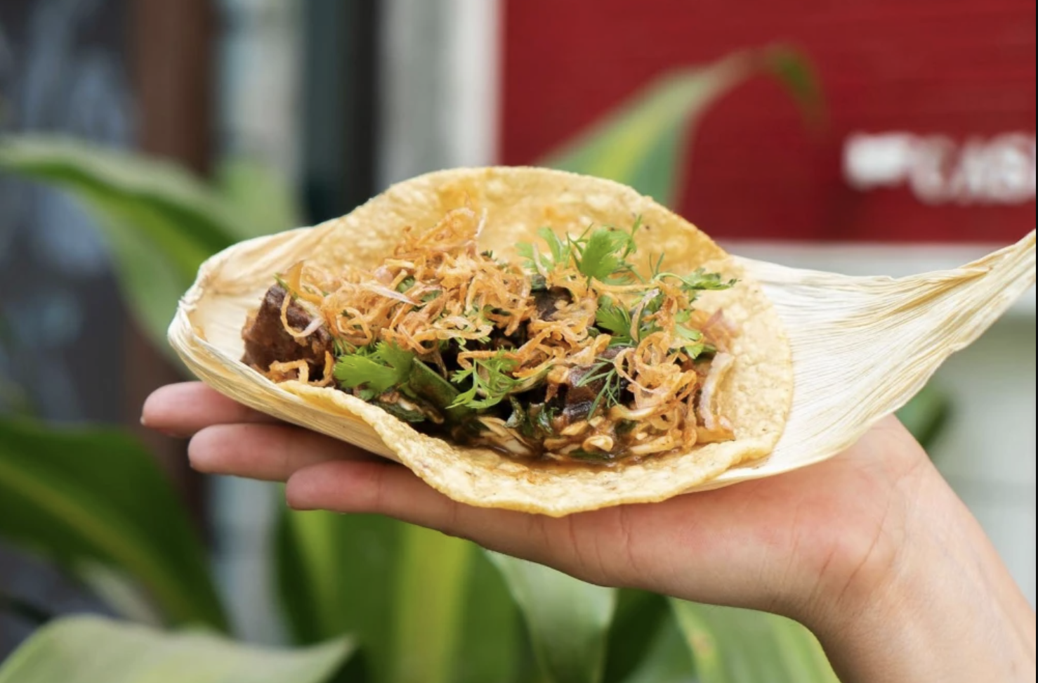 Cariñito Tacos